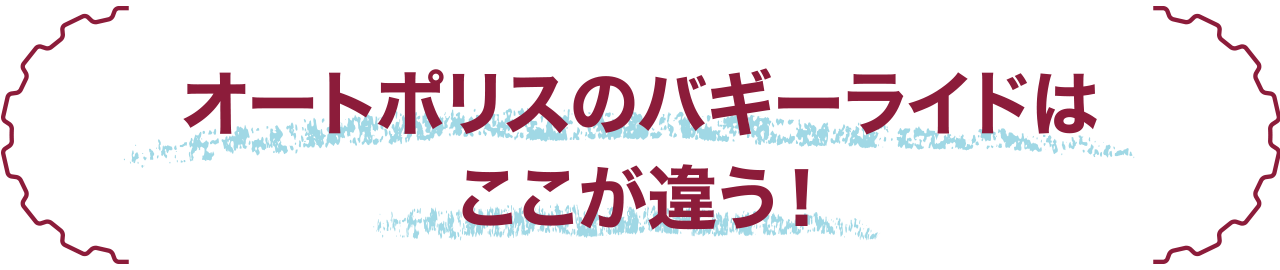 オートポリスのバギーライドはここが違う！