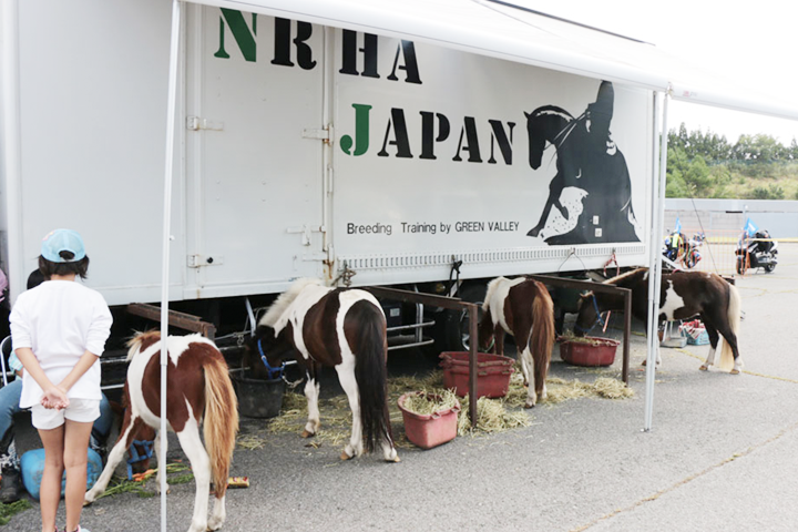 動物ふれあい